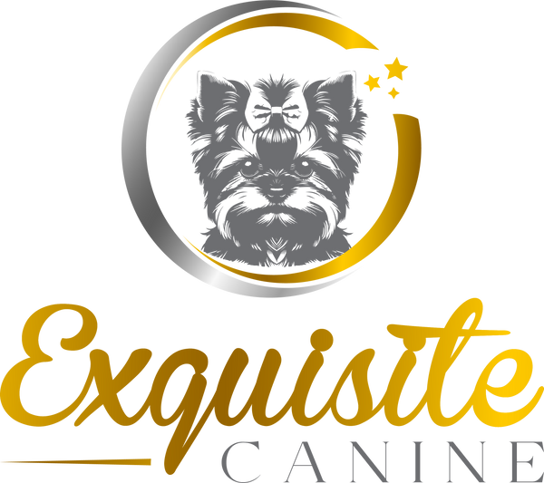 Exquisite Canine